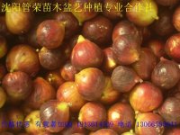psb (58).jpg