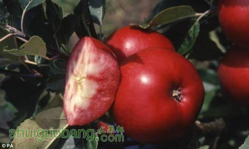 article-0-153FC7AB000005DC-950_634x379.jpg