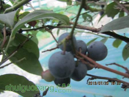 IMG_9643.JPG