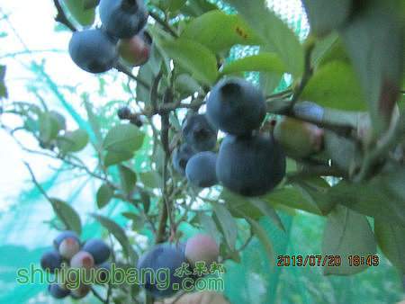 IMG_9659.JPG