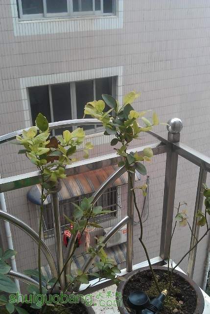QQͼƬ20130722232115.jpg