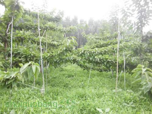 PICT0003.JPG