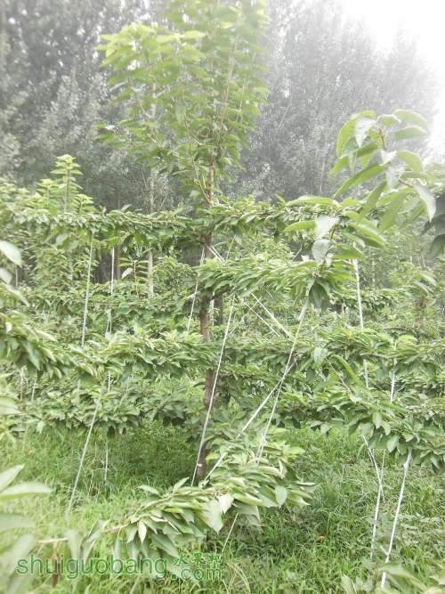 PICT0006.JPG