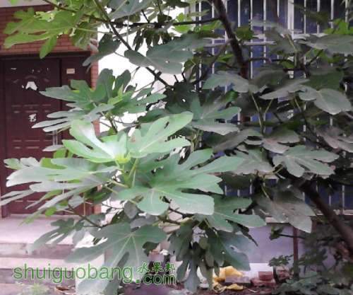 QQͼƬ20130724111459.jpg