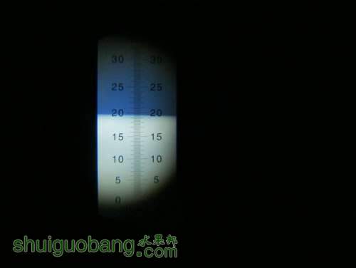 IMG_5445.JPG
