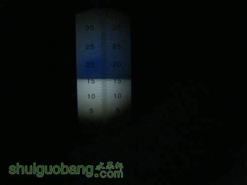 IMG_5463.JPG