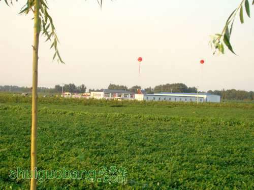 DSC09525.JPG