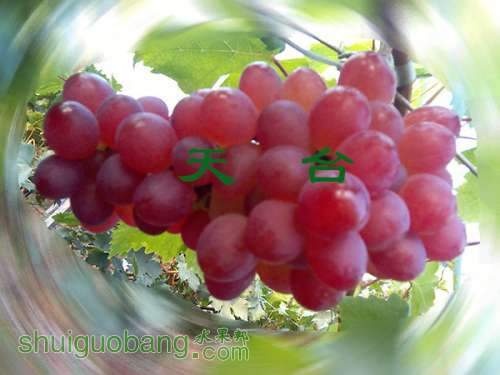 IMG_20130725_182154_0.jpg