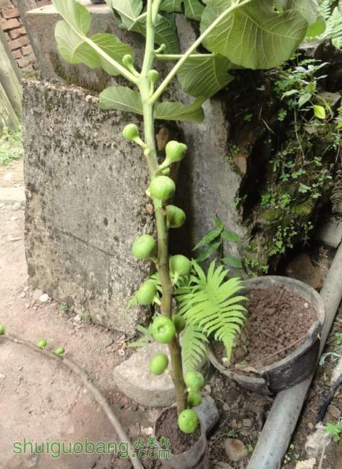 QQͼƬ20130726180941.jpg