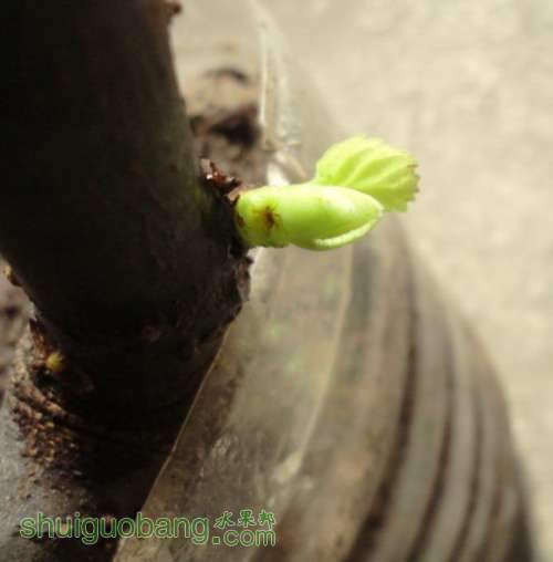 QQͼƬ20130712065048.jpg