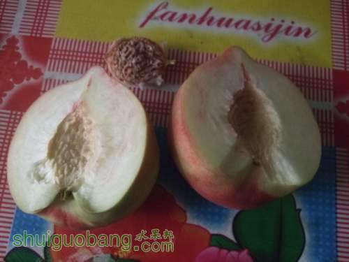 ĺ 013.jpg