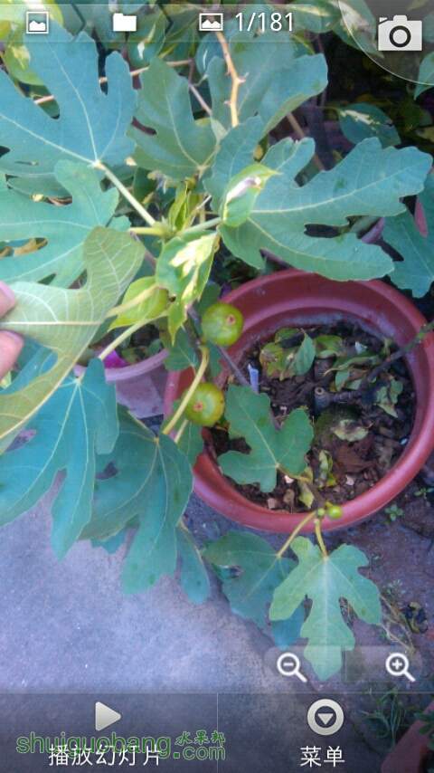 20130728_163136.jpg