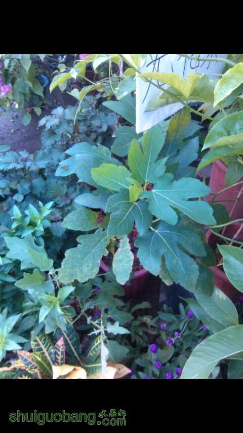 20130728_165131.jpg