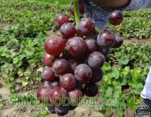 QQͼƬ20130728174947.jpg