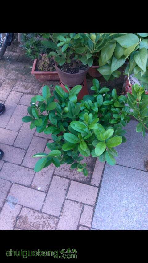 20130728_175329.jpg