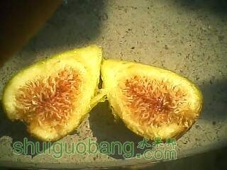 2012.7.28������̿�����1.jpg