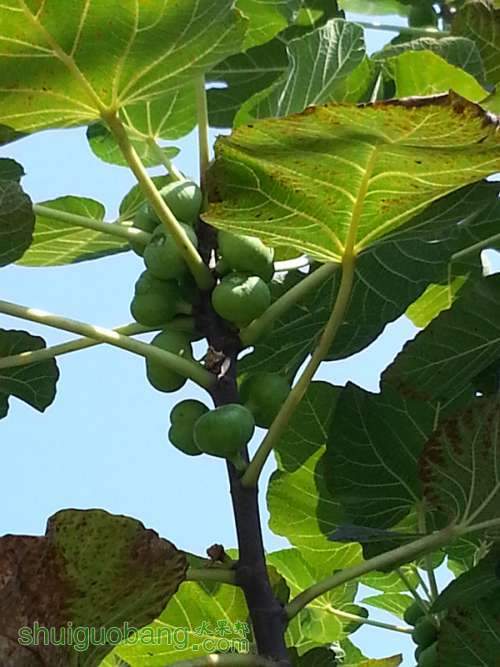 20130730_092847_����.jpg