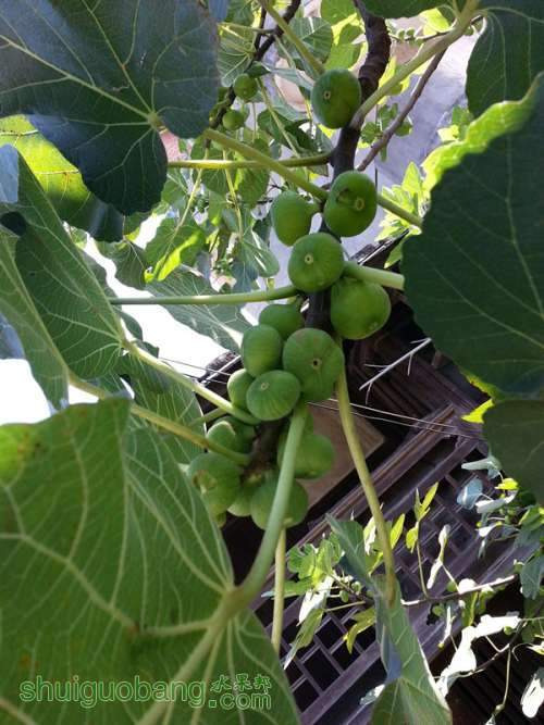 20130730_093013_����.jpg