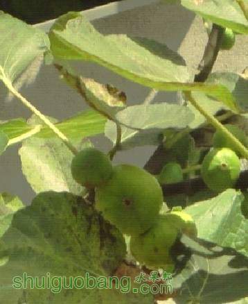 QQͼƬ20130730191318.jpg