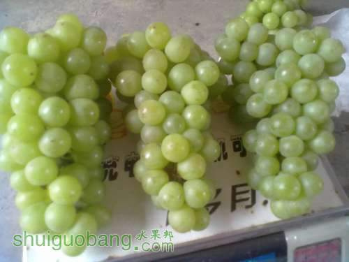 20130730366.jpg