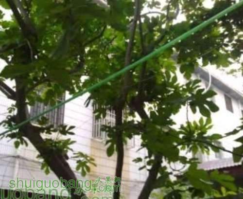 QQͼƬ20130731170611.jpg