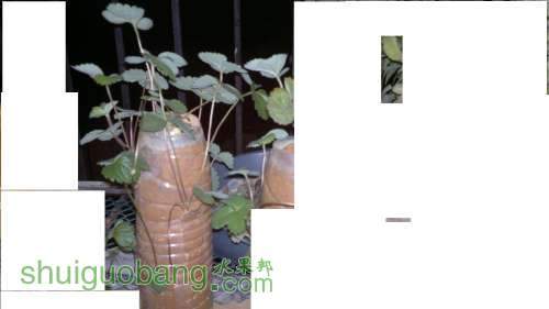 20130731854.jpg