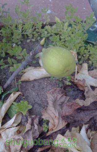 QQͼƬ20130802161344.jpg