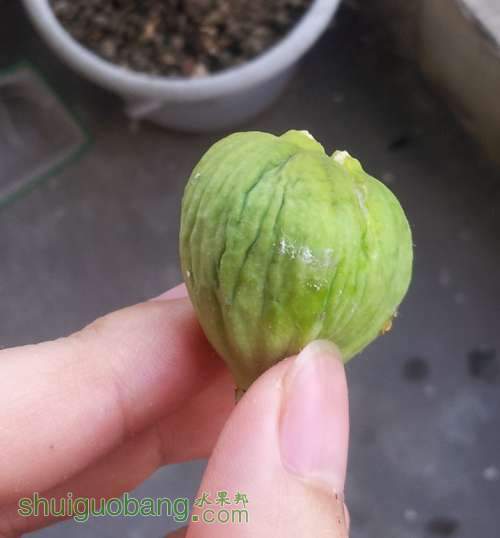 QQ��ͼ20130802115736.jpg