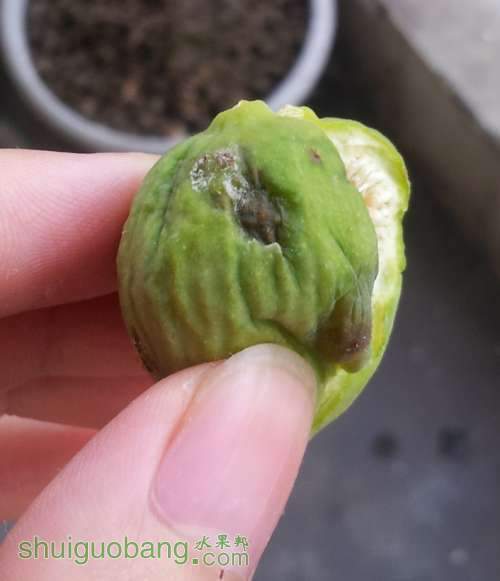 QQ��ͼ20130802115805.jpg