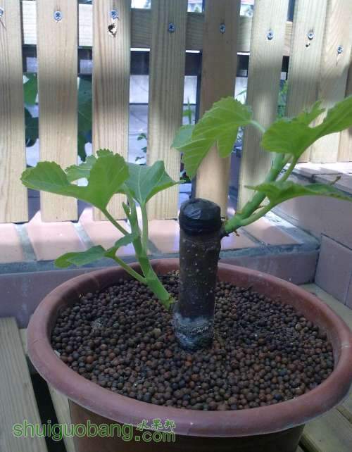 2013.6.27 006.jpg