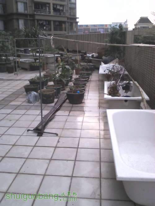 YP20130320164101.jpeg
