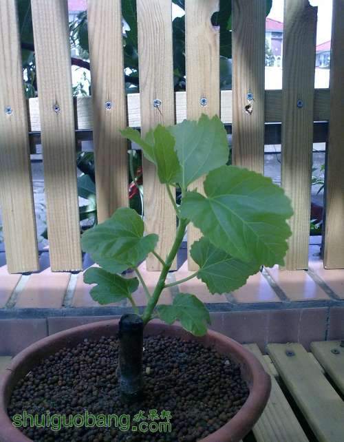 2013.6.27 003.jpg