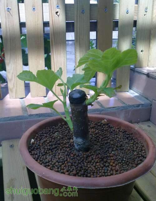 2013.6.27 005.jpg