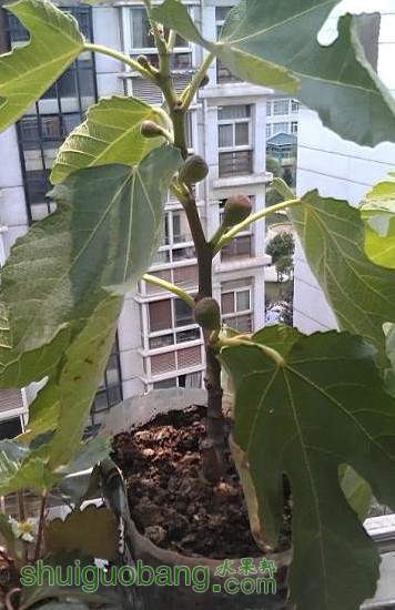 QQ��ͼ20130804093022.jpg