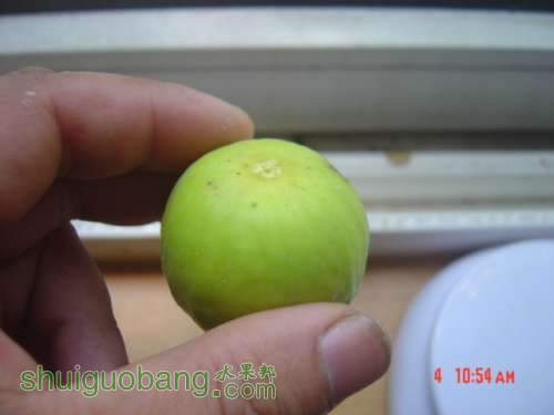 DSC00826.JPG