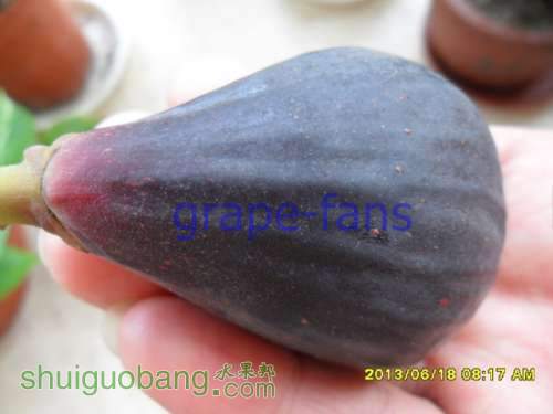 SAM_5326.jpg