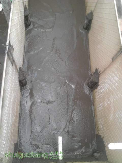 YP20130804095346.jpeg