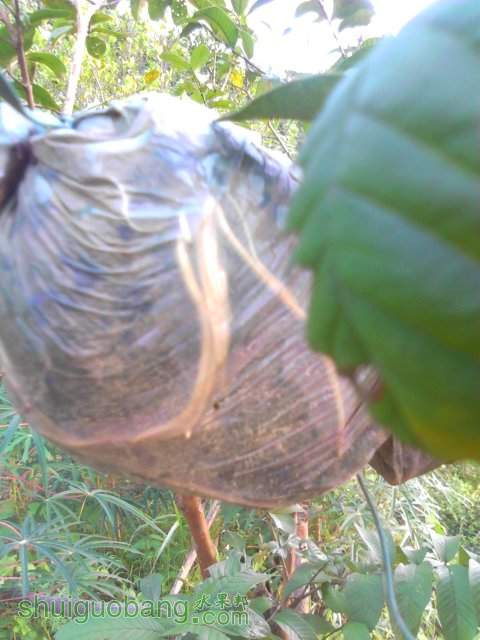YP20130804165540.jpeg