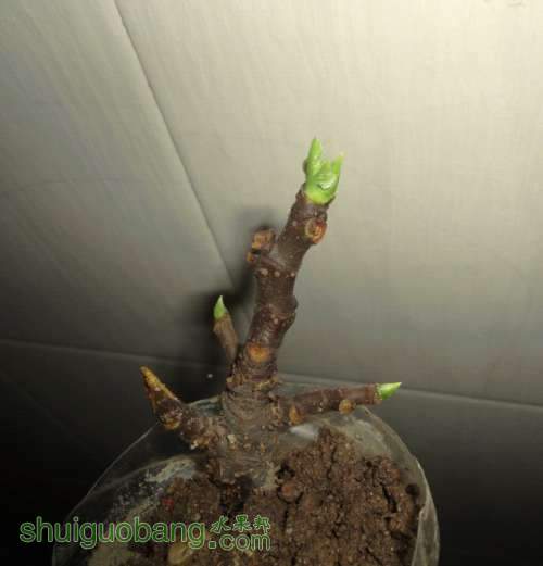QQͼƬ20130805182942.jpg