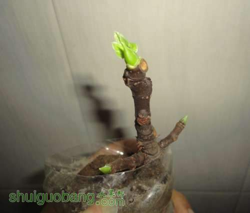 QQͼƬ20130805182959.jpg