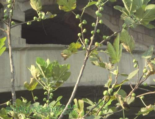 QQͼƬ20130730181816.jpg