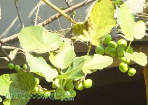 QQͼƬ20130730085739.jpg