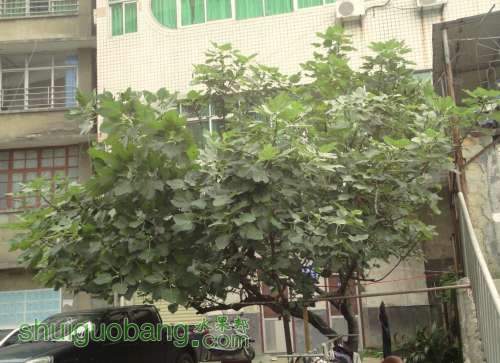 QQͼƬ20130803162233.jpg