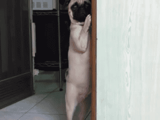 883b8744ebf81a4c3d7b852ad62a6059242da694.jpg.gif
