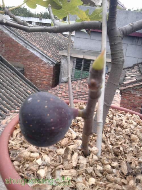 untitled_����.jpg