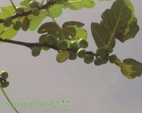 QQͼƬ20130807220620.jpg