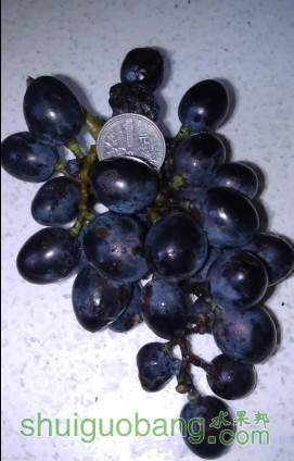 QQͼƬ20130807161821.jpg