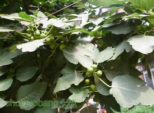 QQͼƬ20130729151819.jpg