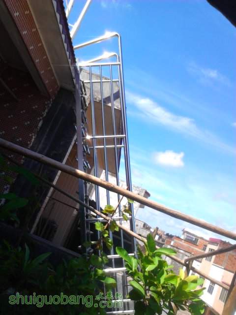 YP20130809100805.jpeg