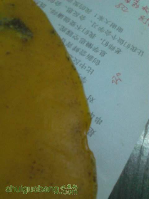 YP20130809222315.jpeg
